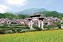广东江门市蓬江区棠下镇良溪古村:文旅“合璧” 古村传新韵