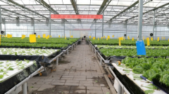 农作物无人管理系统解决方案，赋能乡村振兴，引领农业发展新趋势